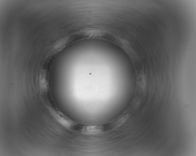 X0000081310622200701181904