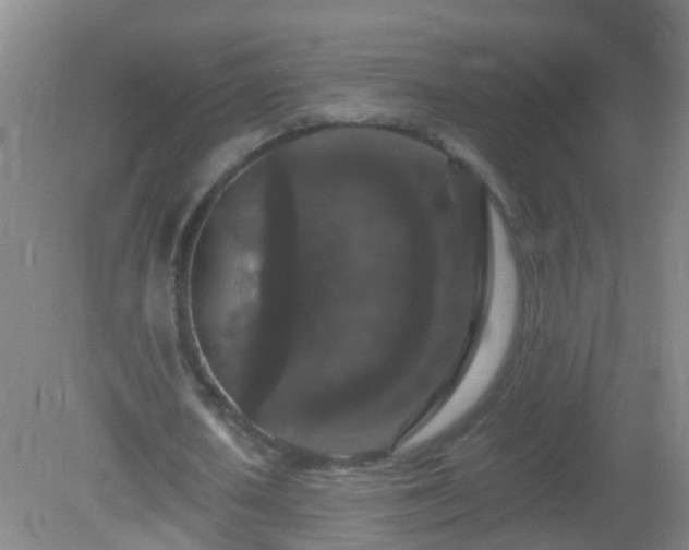 X0000081310626200701181903