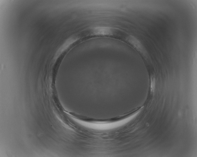 X0000081310627200701181903