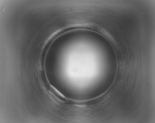 X0000081310628200701181903