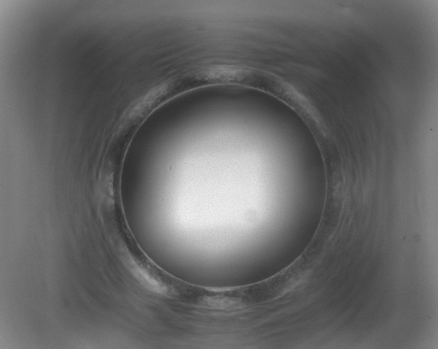 X0000081310633200701181903