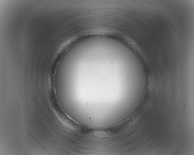 X0000081310636200701181903