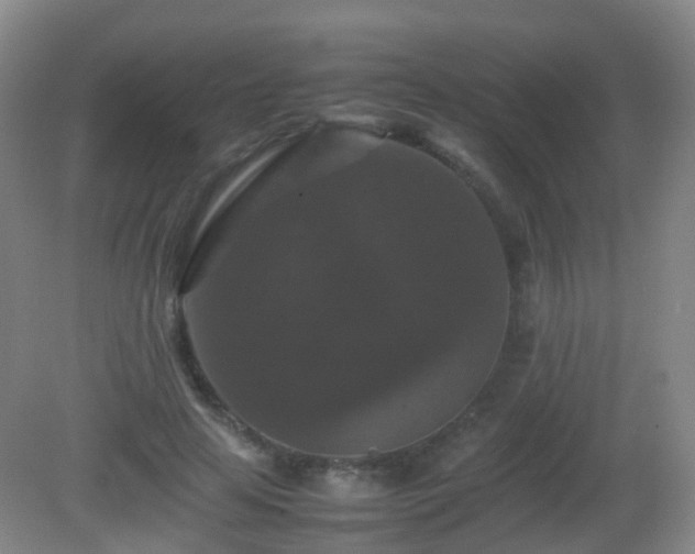 X0000081310641200701181903