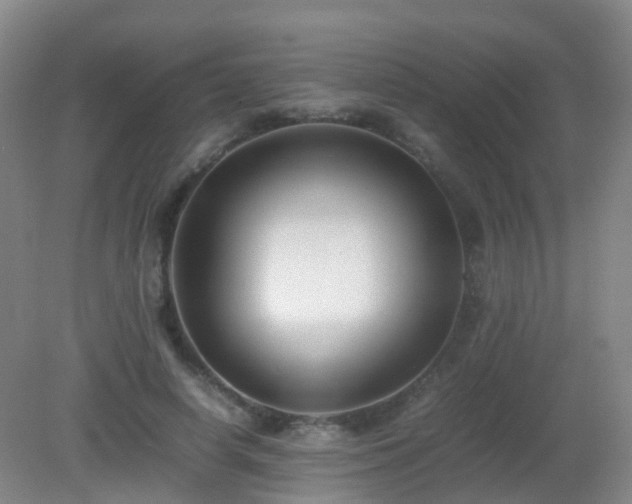 X0000081310642200701181903