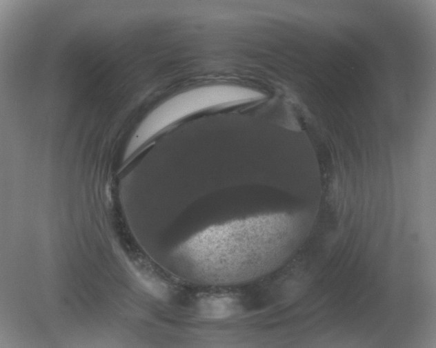 X0000081310643200701181903