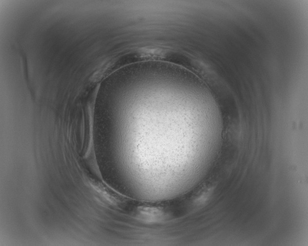 X0000081310649200701181903