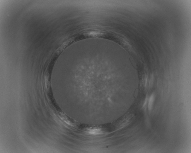 X0000081310651200701181903