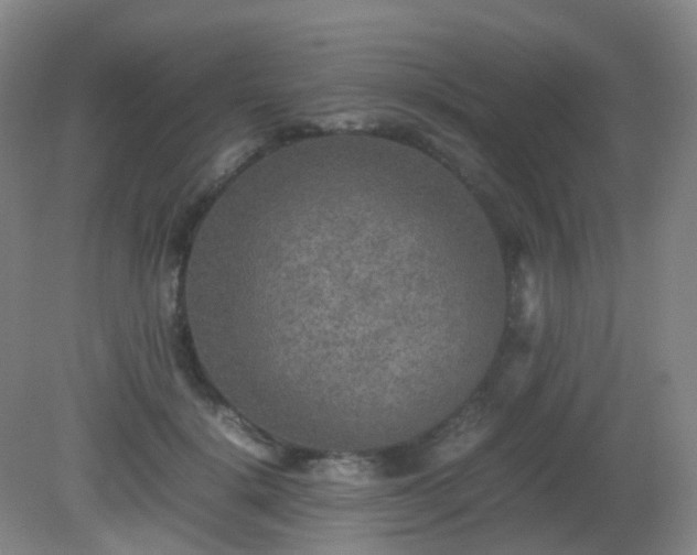X0000081310652200701181903