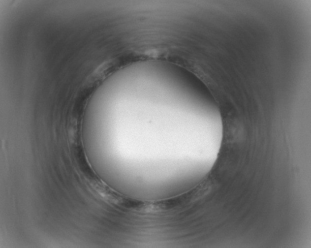 X0000081310656200701181903