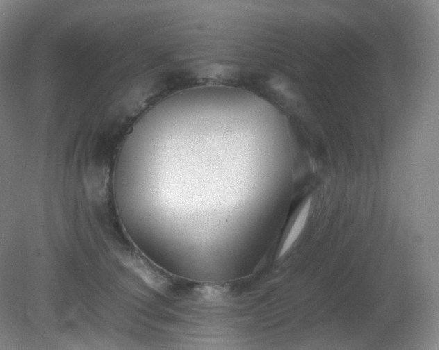 X0000081310660200701181903
