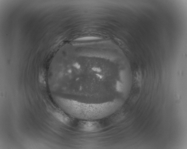 X0000081310663200701181903
