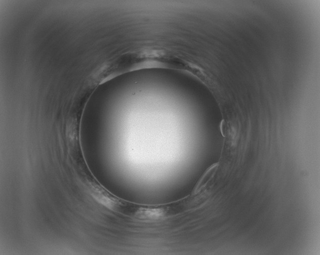 X0000081310665200701181903
