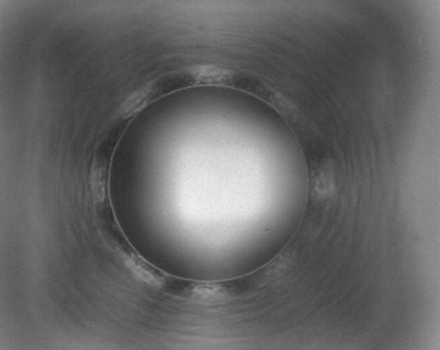 X0000081310666200701181903
