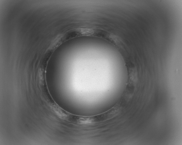 X0000081310667200701181903