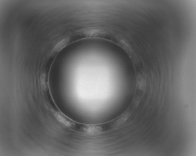 X0000081310670200701181903