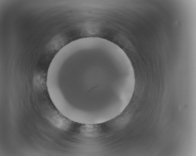 X0000081310672200701181903