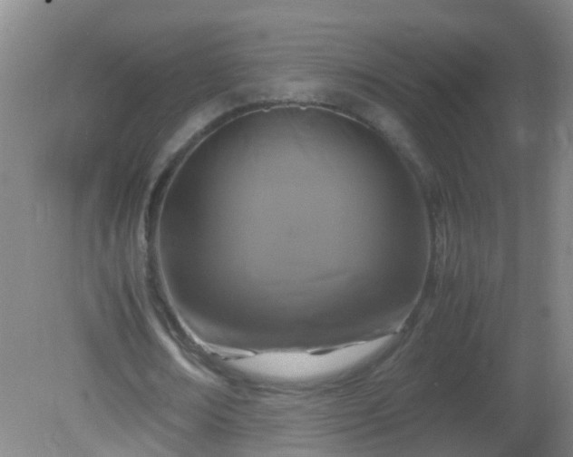 X0000081310674200701181903