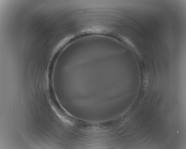 X0000081310678200701181903