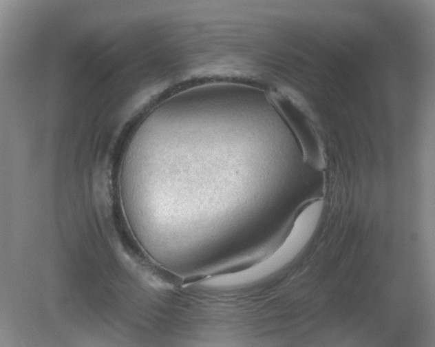 X0000081310680200701181903