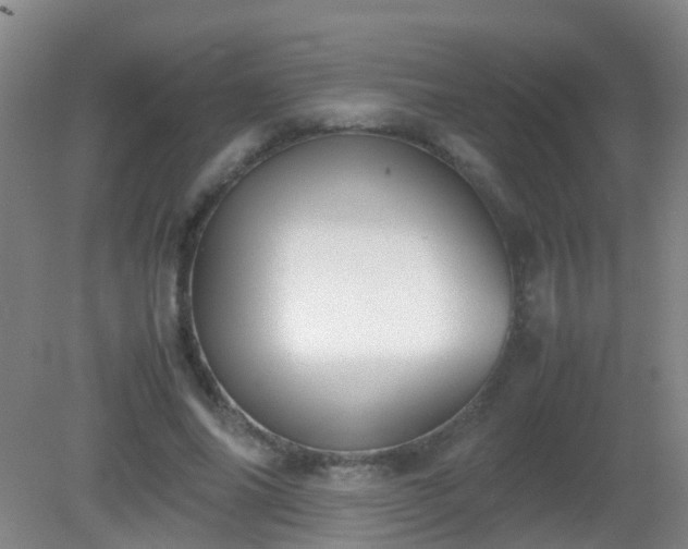 X0000081310686200701181902