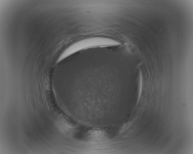 X0000081310689200701181902