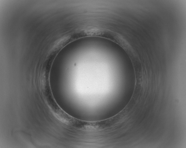 X0000081310690200701181902