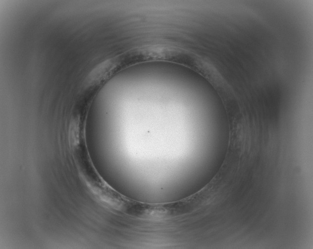 X0000081310694200701181902