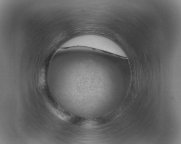 X0000081310696200701181902