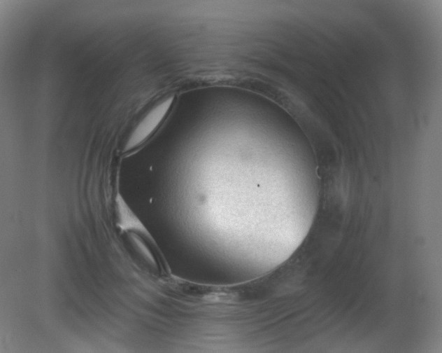 X0000081310700200701181902