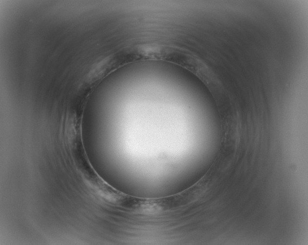 X0000081310702200701181902