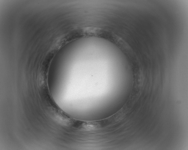 X0000081310706200701181902