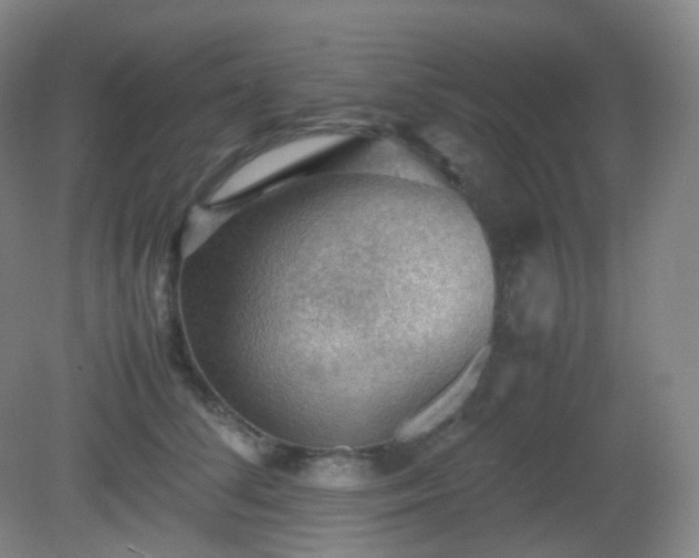 X0000081310708200701181902