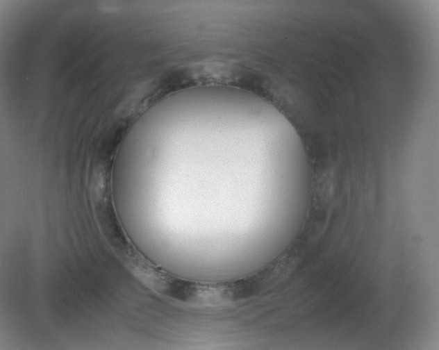 X0000081310709200701181902