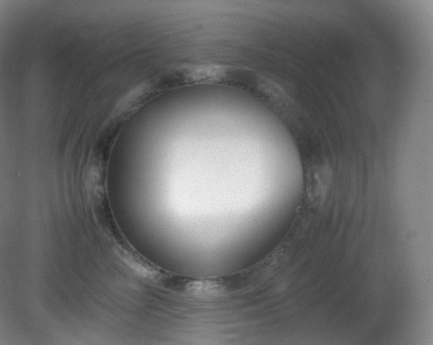 X0000081310714200701181902