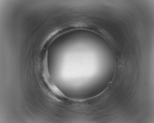 X0000081310727200701181901