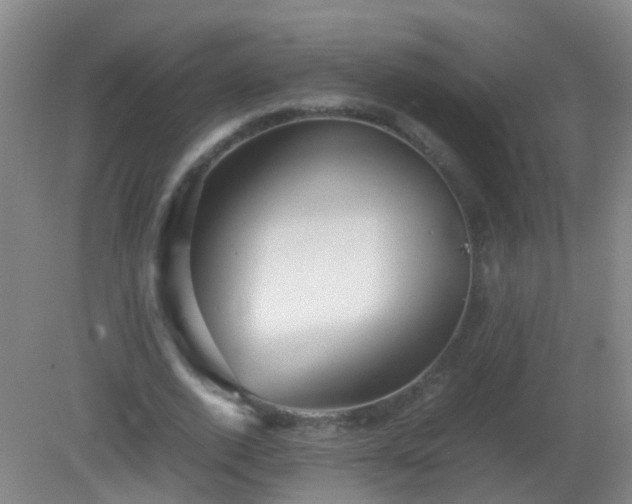 X0000081310728200701181901