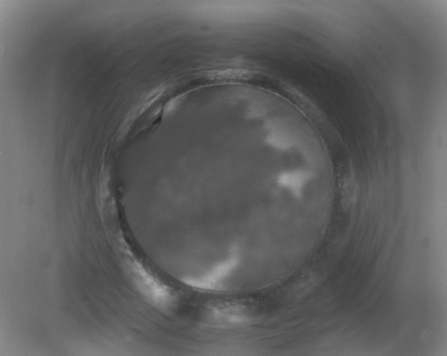 X0000081310729200701181901