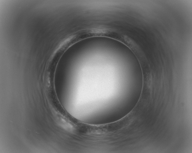 X0000081310731200701181901
