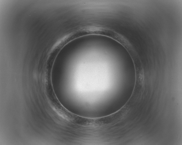 X0000081310732200701181901