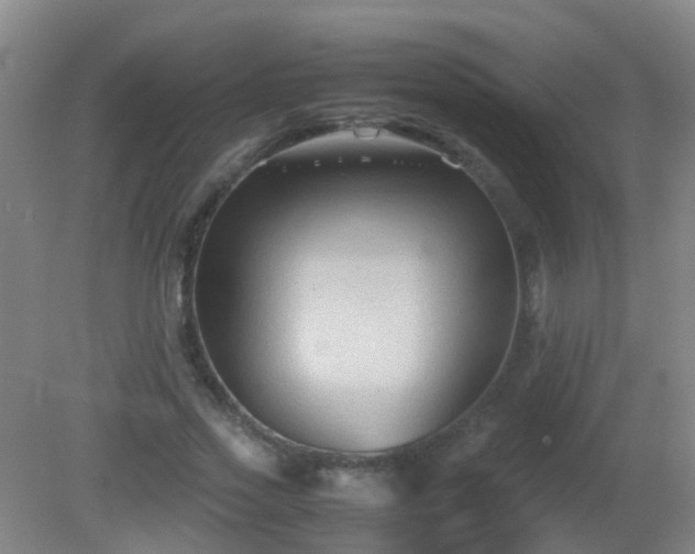 X0000081310733200701181901