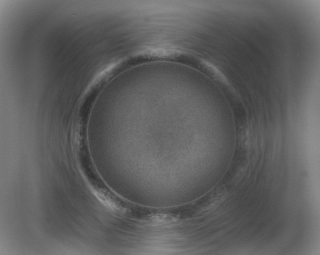 X0000081310736200701181901