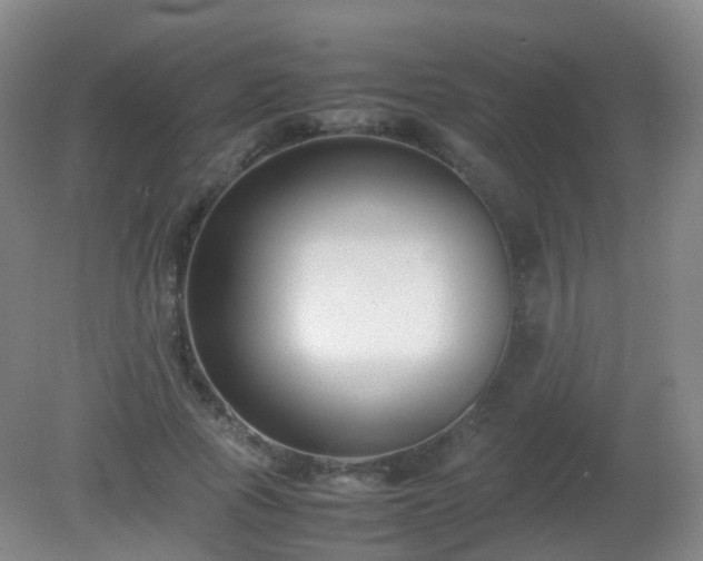 X0000081310737200701181901