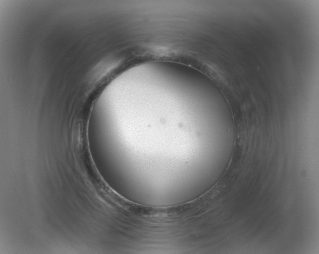 X0000081310740200701181901
