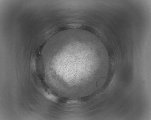 X0000081310745200701181901