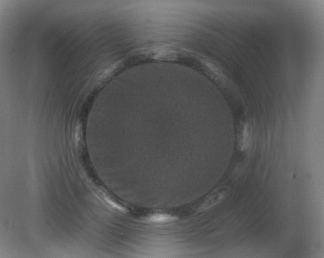 X0000081310748200701181902