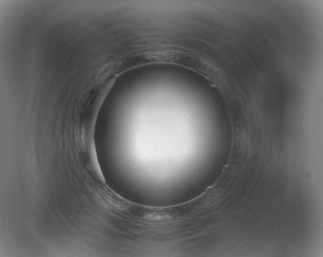 X0000081310749200701181902
