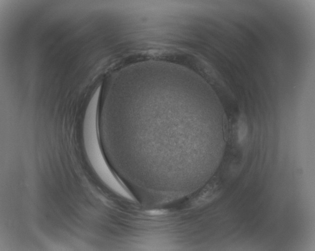 X0000081310750200701181902