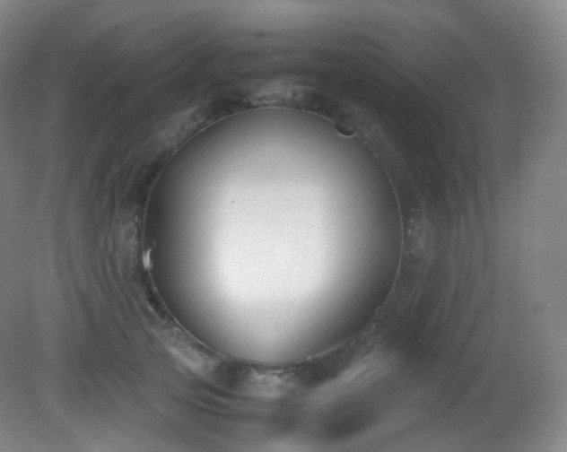 X0000081310753200701181902