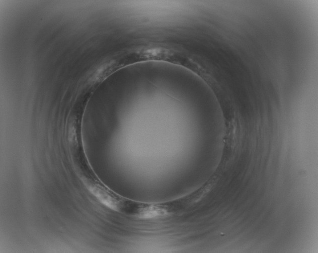 X0000081310754200701181902