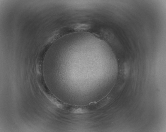 X0000081310755200701181902